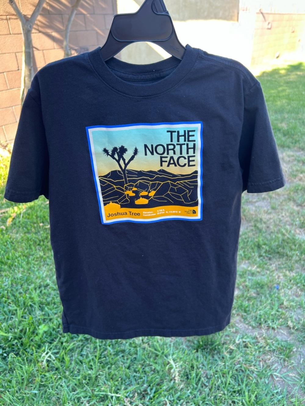 The North Face Kids Black Joshua Tree Graphic Tee